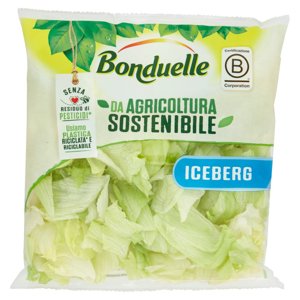 Bonduelle Iceberg 200 g