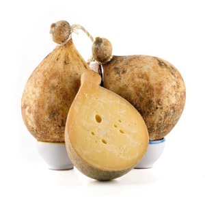 BT F CACIOCAVALLO PODOLICO GIOV