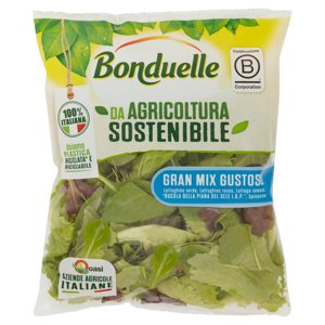 Bonduelle Gran Mix Gustoso 100 g