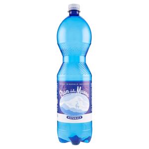 Pian della Mussa Naturale Fonte Sauzè 1,5 L