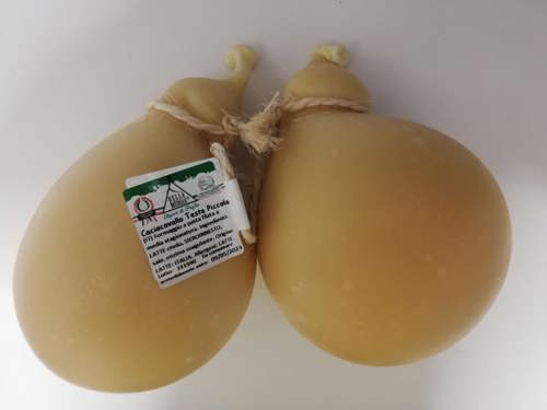 CACIOCAVALLO TESTA PICCOLA BELLA MURGIA