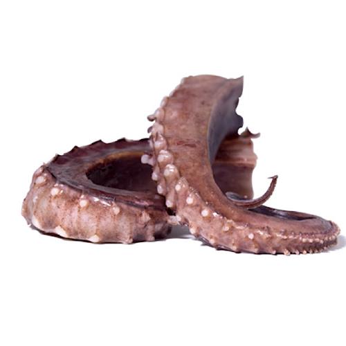 TENTACOLI DI TOTANO GIGANTE DEL PACIFICO