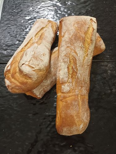 PAN CIABATTA NP