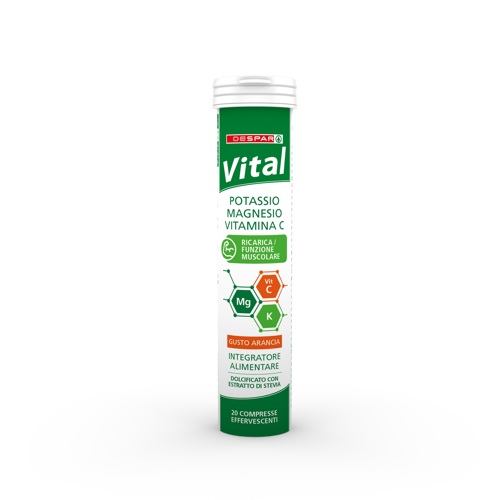 INTEGR.MAGN/POT/VIT C 20TAB- VITAL