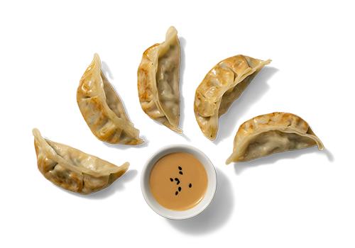 GYOZA POLLO  95G