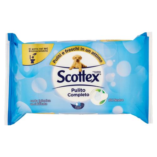 CARTA IG FOGLI UMIDIFICATI SCOTTEX X 42