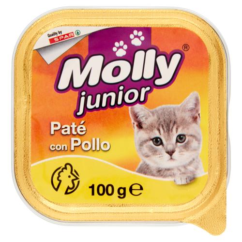 PATE' GATTO MOLLY 100G POLLO