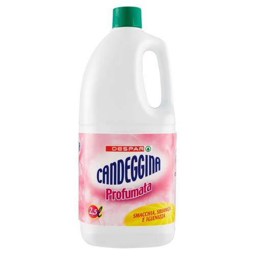 CANDEGGINA DESPAR 2,5L PROF.