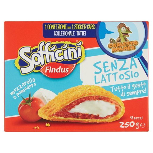 SOFFICINI SENZA LATTOSIO FINDUS 250GR