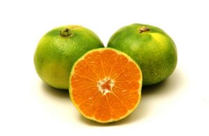 CLEMENTINE CAL. 4/5 RETE 1kg