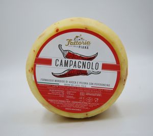 FORMAGGIO CAMPAGNOLO F.D.PIANA 1KG