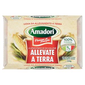 UOVA ALLEVATE A TERRA AMADORI X6