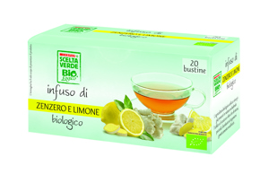 INFUSO SC.VERDE BIO DESPAR 40G ZENZERO