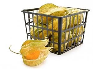 PHYSALIS 100g cat.1^