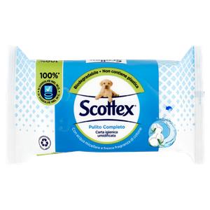 CARTA IG FOGLI UMIDIFICATI SCOTTEX X 42