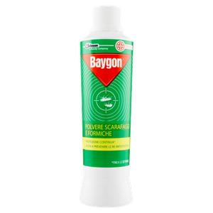 INSETTICIDA BAYGON S/F POLVERE 250G