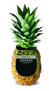 ANANAS PREMIUM CAL.7/8 CAT1^