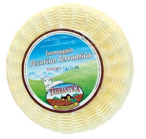 PECORINO TERRANTICA 1KG