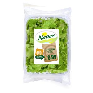 LATTUGHINO VERDE NATURE 100g