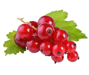 RIBES ROSSO 125g CAT.1^