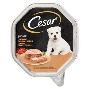 BOCC.CANE CESAR JUNIOR 150G VITEL&POLL