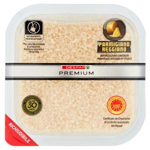 PARMIGIANO REG 30MESI GRAT PREMIUM 100 G