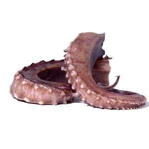 TENTACOLI DI TOTANO GIGANTE DEL PACIFICO