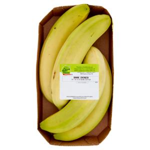 BANANE PDP CAVENDISH CAL.18/21 1^VH700g