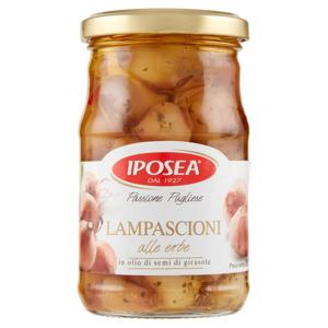 IPOSEA LAMPASCIONI GR.280