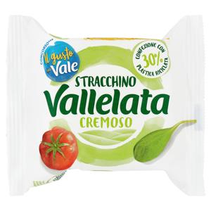 VALLELATA STRACCHINO GR.100