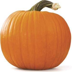 ZUCCA HALLOWEEN  DA INTAGLIARE