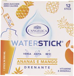 WATERSTICK DRENANTE ANANAS MANGO ZERO ZUCCHERI