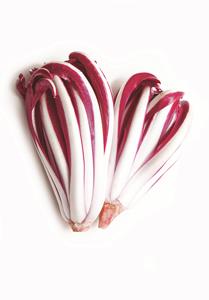 RADICCHIO TARDIVO