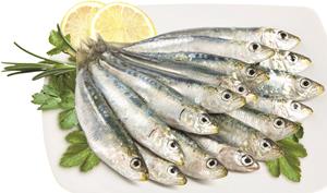 SARDINA