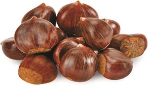 CASTAGNE