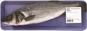 BRANZINO EVISCERATO