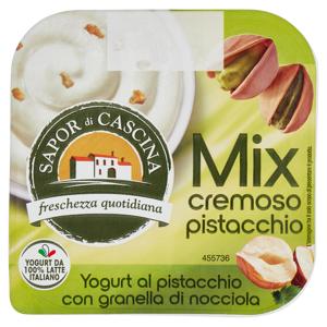 Sapor di Cascina Mix cremoso pistacchio Yogurt al pistacchio con granella di nocciola 150 g