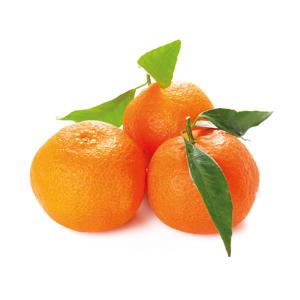 Mandarino orri or. spa al kg
