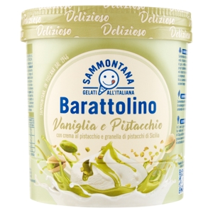 Sammontana Barattolino Delizioso Vaniglia e Pistacchio 500 g