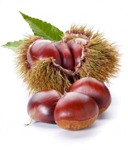 CASTAGNE 50/55 ITALIA