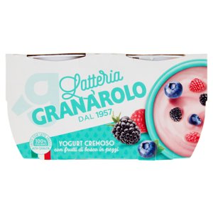 Granarolo Yogurt Cremoso Con Frutti Di Bosco In Pezzi 2 X 125 G