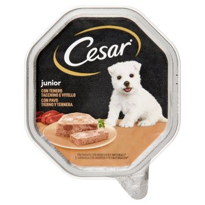 Cesar Junior Cibo Umido Cane In Vaschetta Con Tenero Tacchino E Vitello 150 G