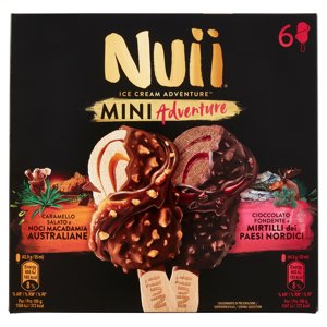 Nuii Mini Adventure Caramello Salato E Noci Macadamia, Cioccolato Fondente E Mirtilli 6 Gelati 253 G