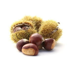 Castagne